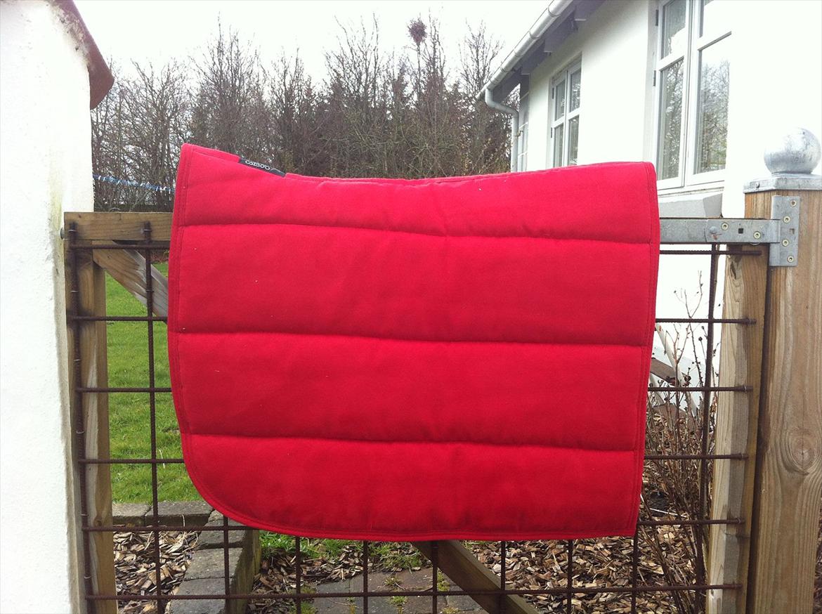 Mit udstyr til hestene. - Rødt Catago pad. billede 15