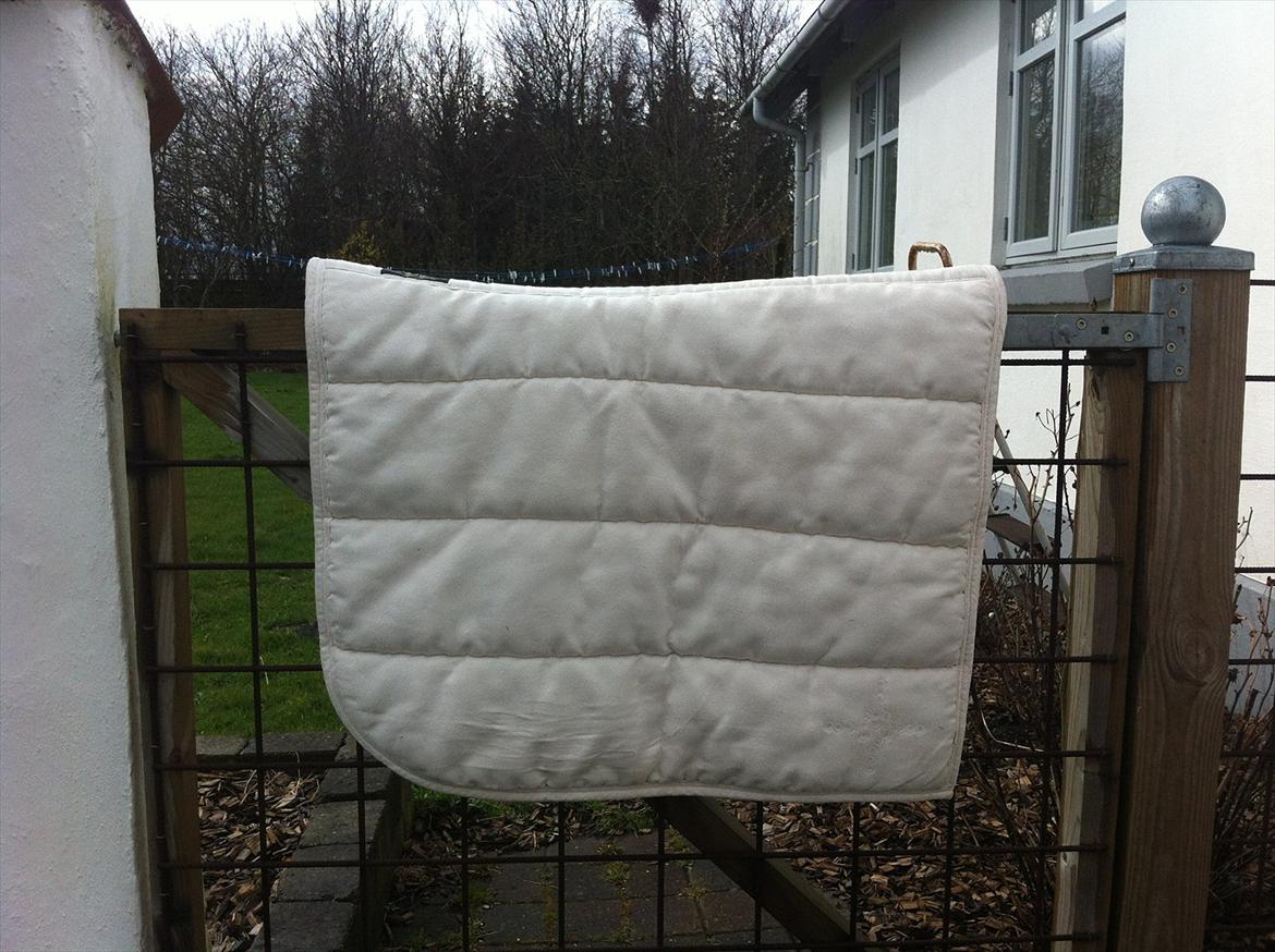 Mit udstyr til hestene. - Hvidt Horse Guard alca pad. billede 17