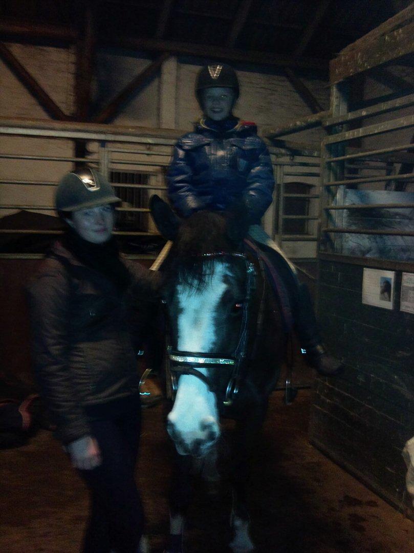 blandet igennem mine hesteår billede 21