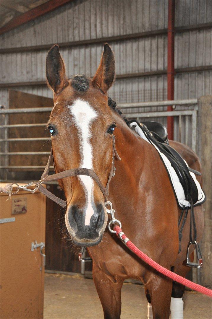 Konfirmation og fødselsdag<3 billede 2