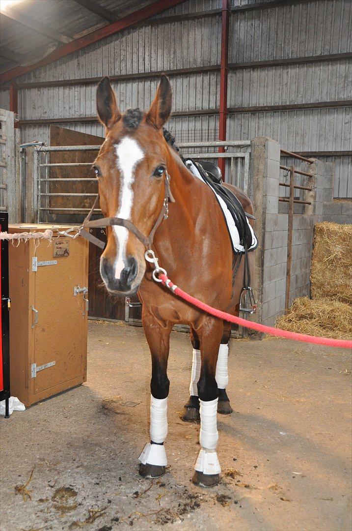 Konfirmation og fødselsdag<3 billede 3