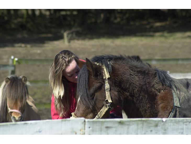 {{currentPhoto.altText}} billede {{currentPhoto.number}}