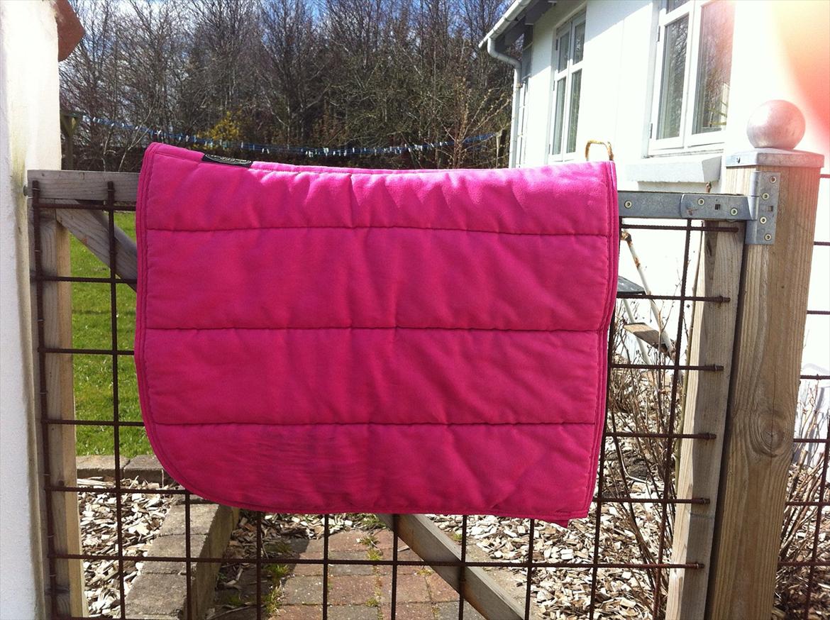 Mit udstyr til hestene. - Pink Horse Guard alca pad. billede 19