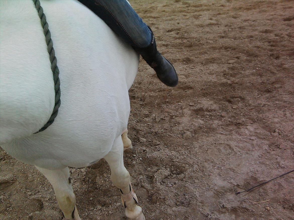 Lidt belleder af Cirkeline! :D <3 billede 4