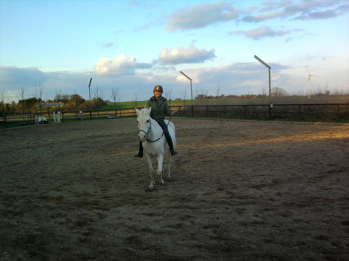 Lidt belleder af Cirkeline! :D <3 billede 5