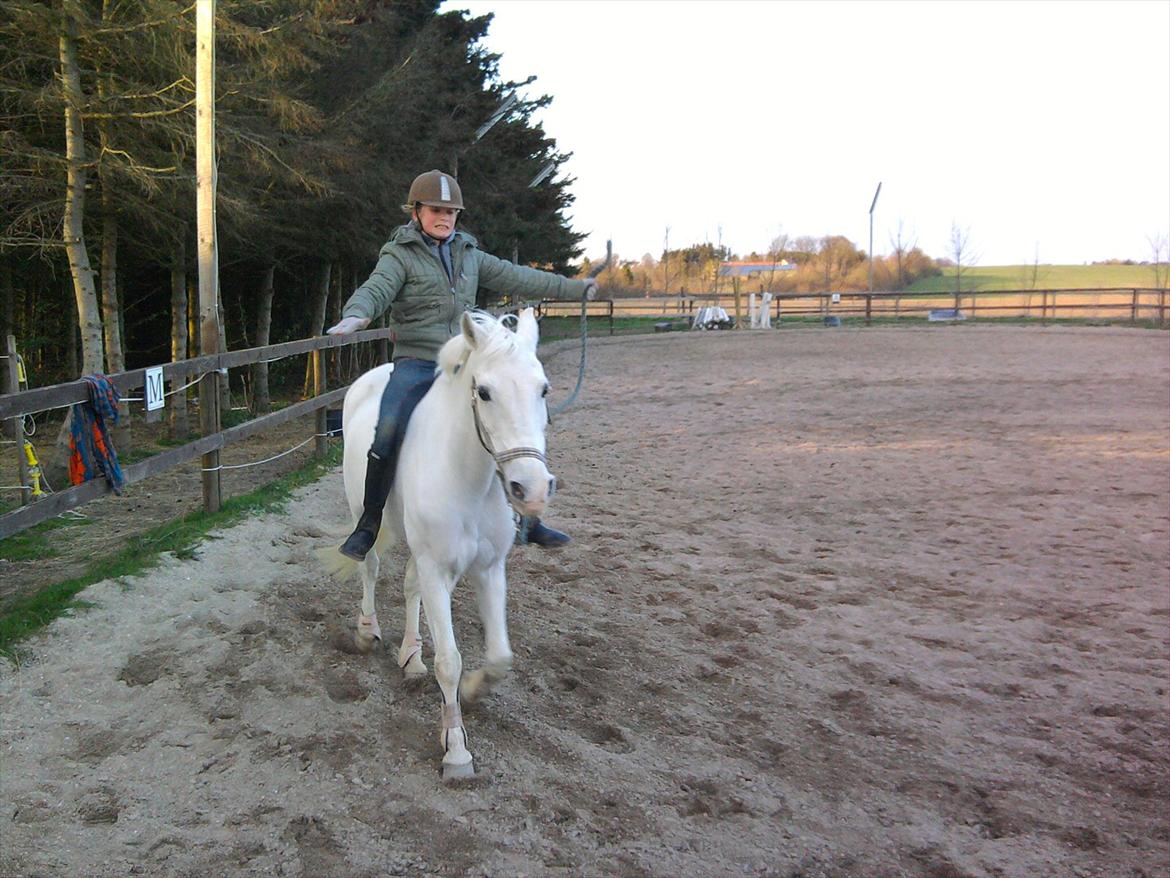 Lidt belleder af Cirkeline! :D <3 billede 6