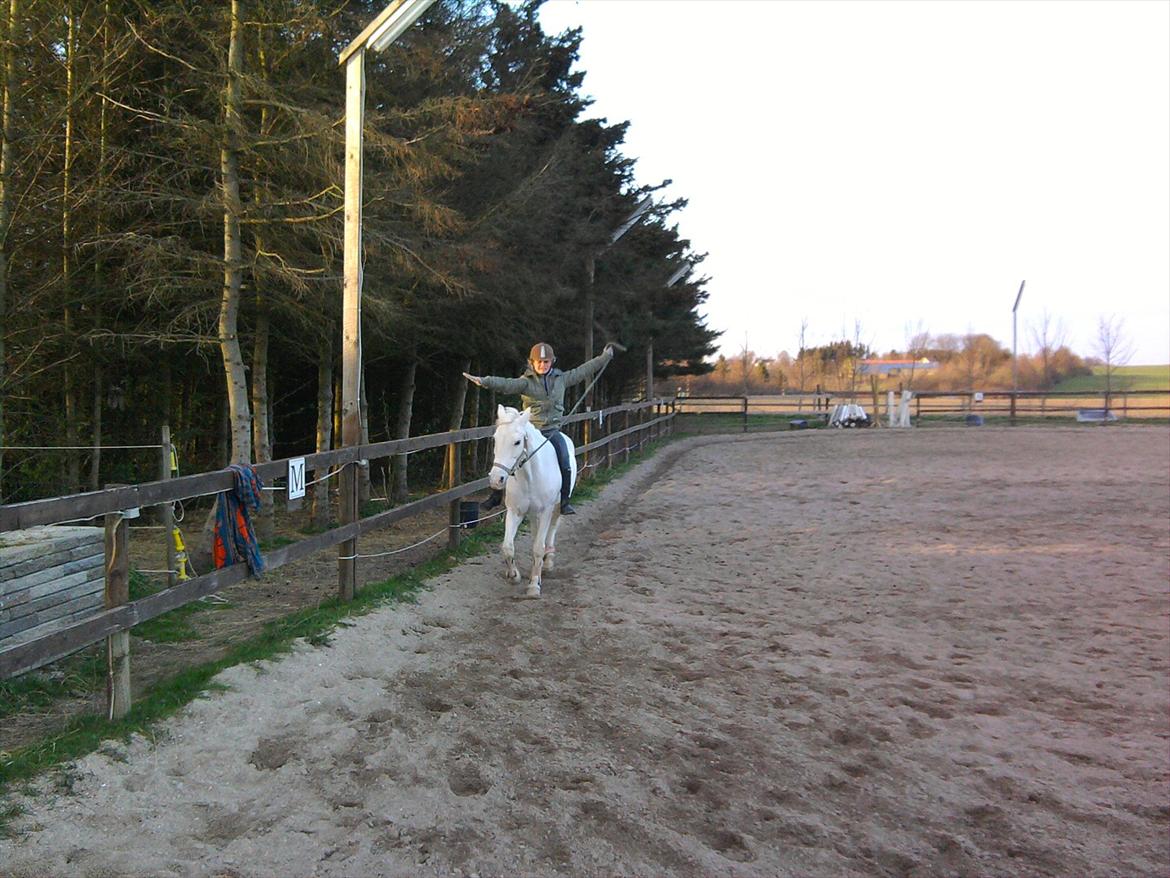 Lidt belleder af Cirkeline! :D <3 billede 7