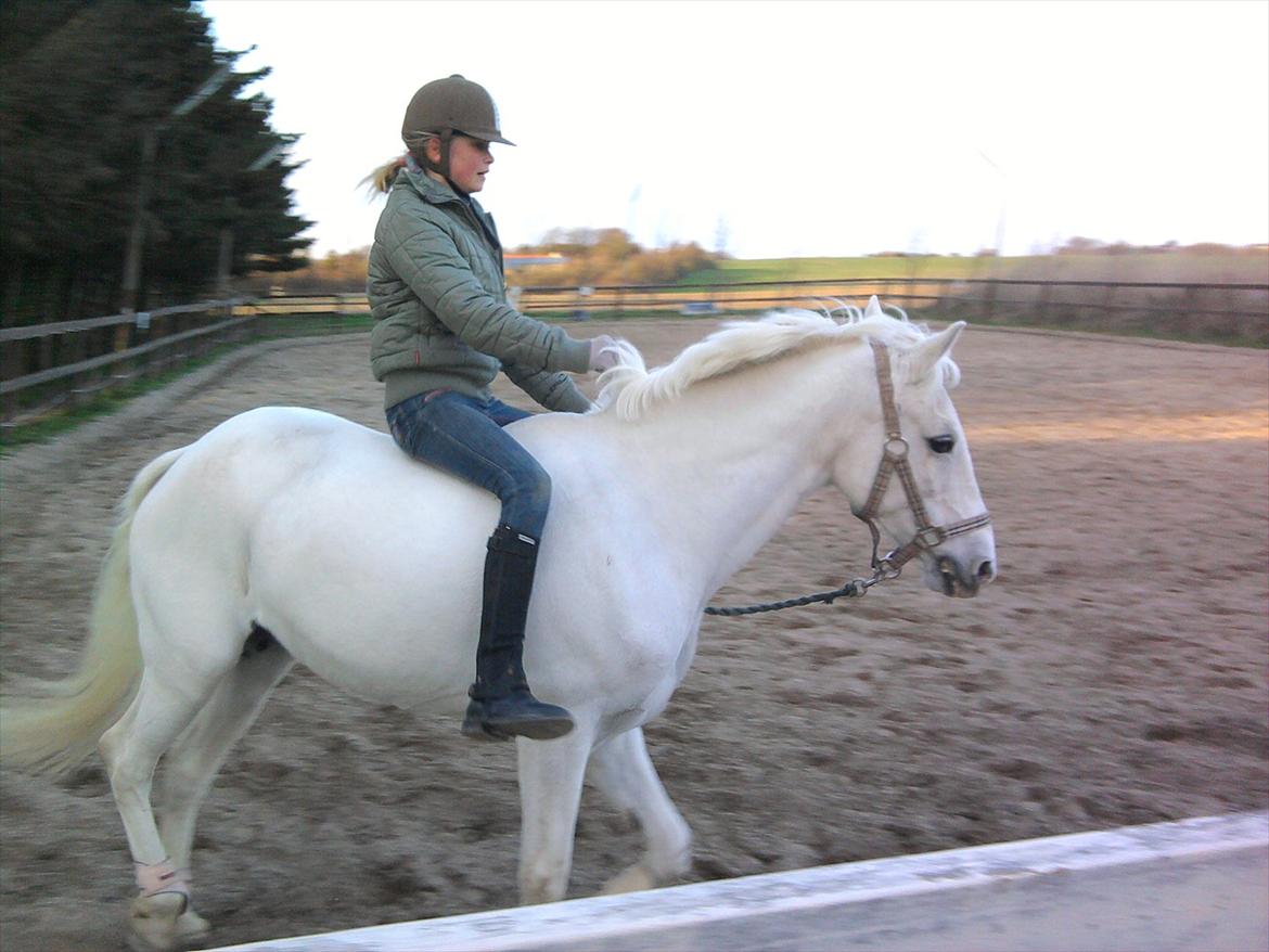 Lidt belleder af Cirkeline! :D <3 billede 8