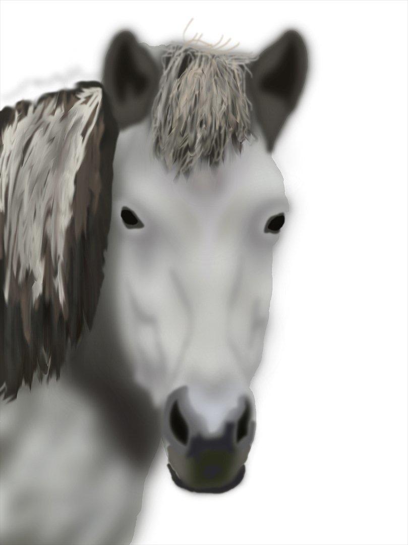 Et forsøg på en computer tegning - Endelig færdig! <3 billede 12