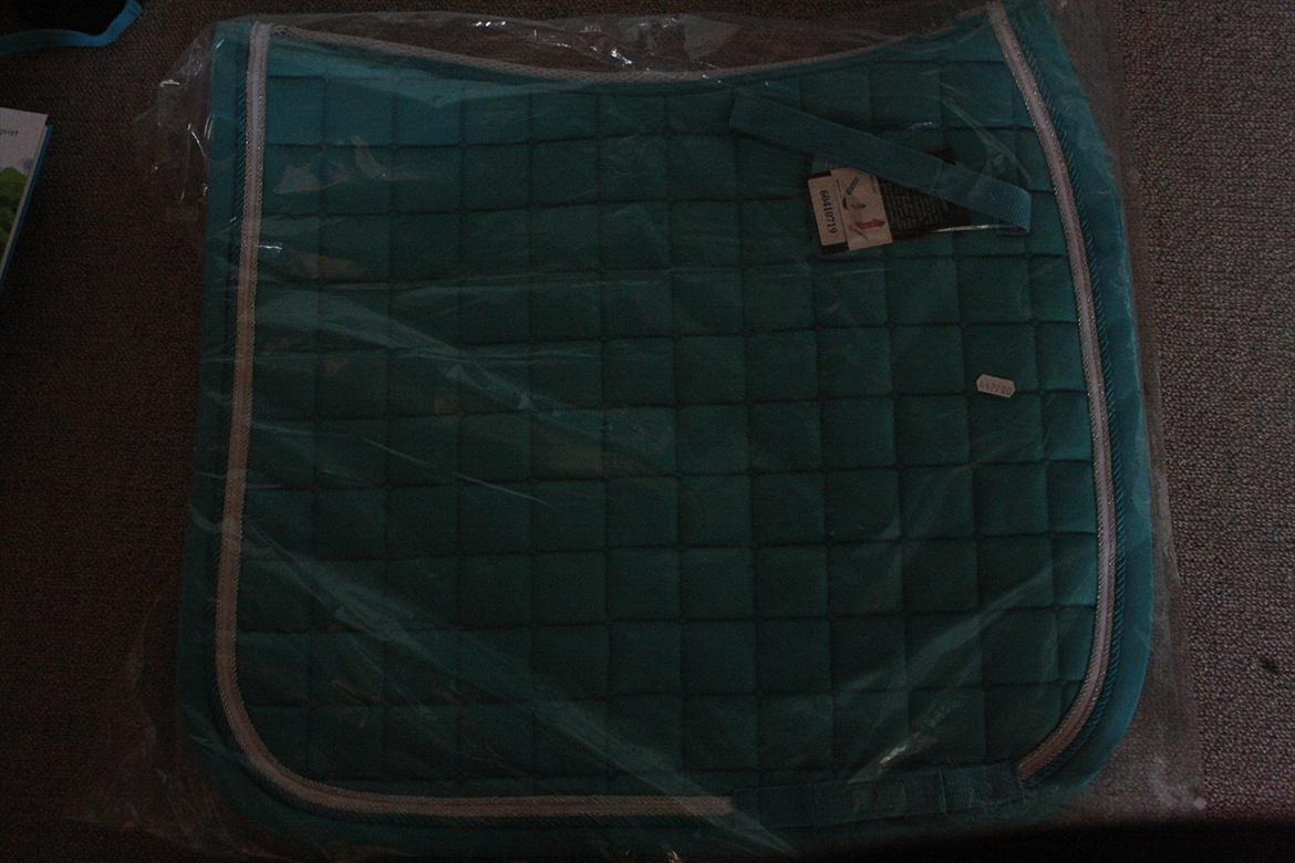 Det nye dressur sæt! av min pengepung billede 2