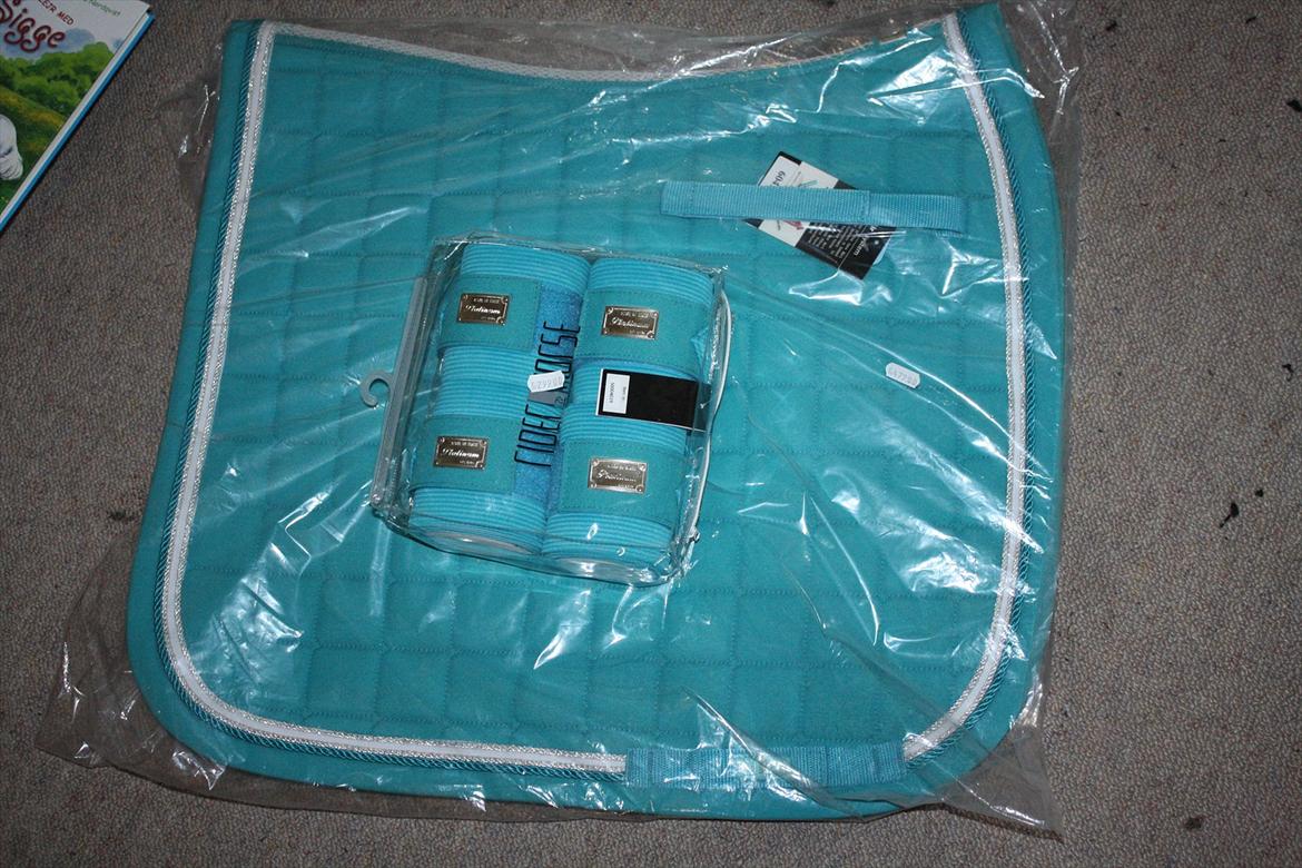 Det nye dressur sæt! av min pengepung billede 9