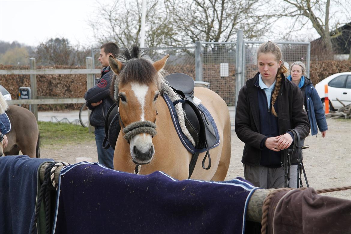Distriktsmesterskaberne i Pony games afd. B 2012  - Ved at gøre klar ude på NØR :-) 

Sofie og Jenny :-) 
(Jenny skulle ikke ride Pony games alligevel pga. hun kom til skade)  billede 2