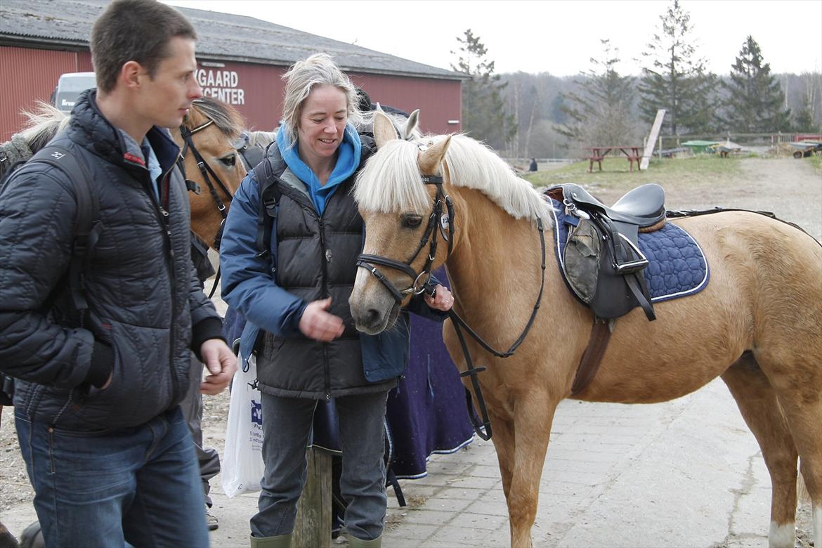 Distriktsmesterskaberne i Pony games afd. B 2012  - Ved at gøre klar :-) 

Allan, Vibeke og Scarlett  billede 3