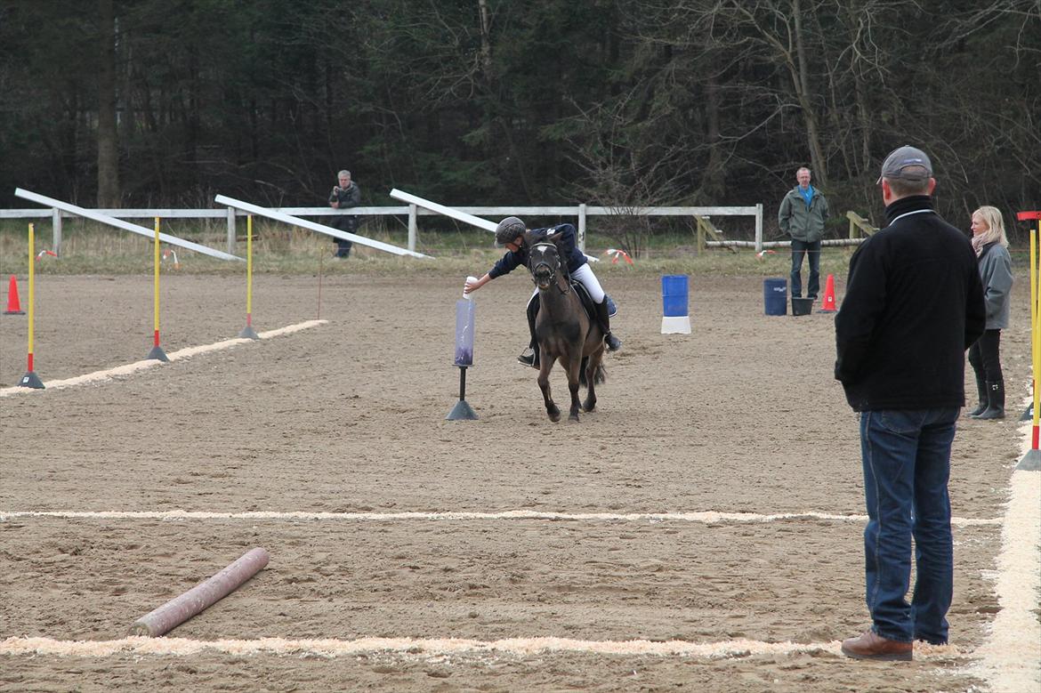 Distriktsmesterskaberne i Pony games afd. B 2012  - Vandstafet :-) 

Mathilde og Zorro  billede 4
