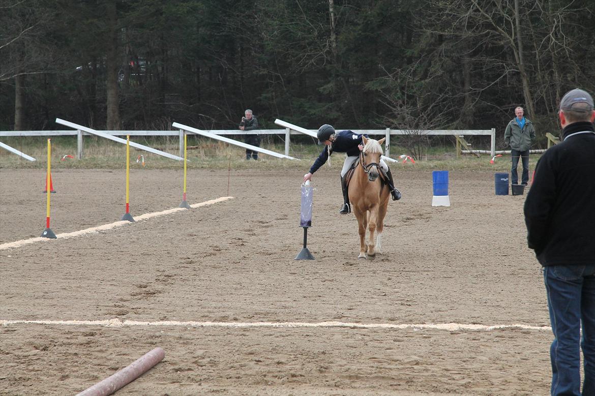 Distriktsmesterskaberne i Pony games afd. B 2012  - Vandstafet :-) 

Laura og Scarlett  billede 5