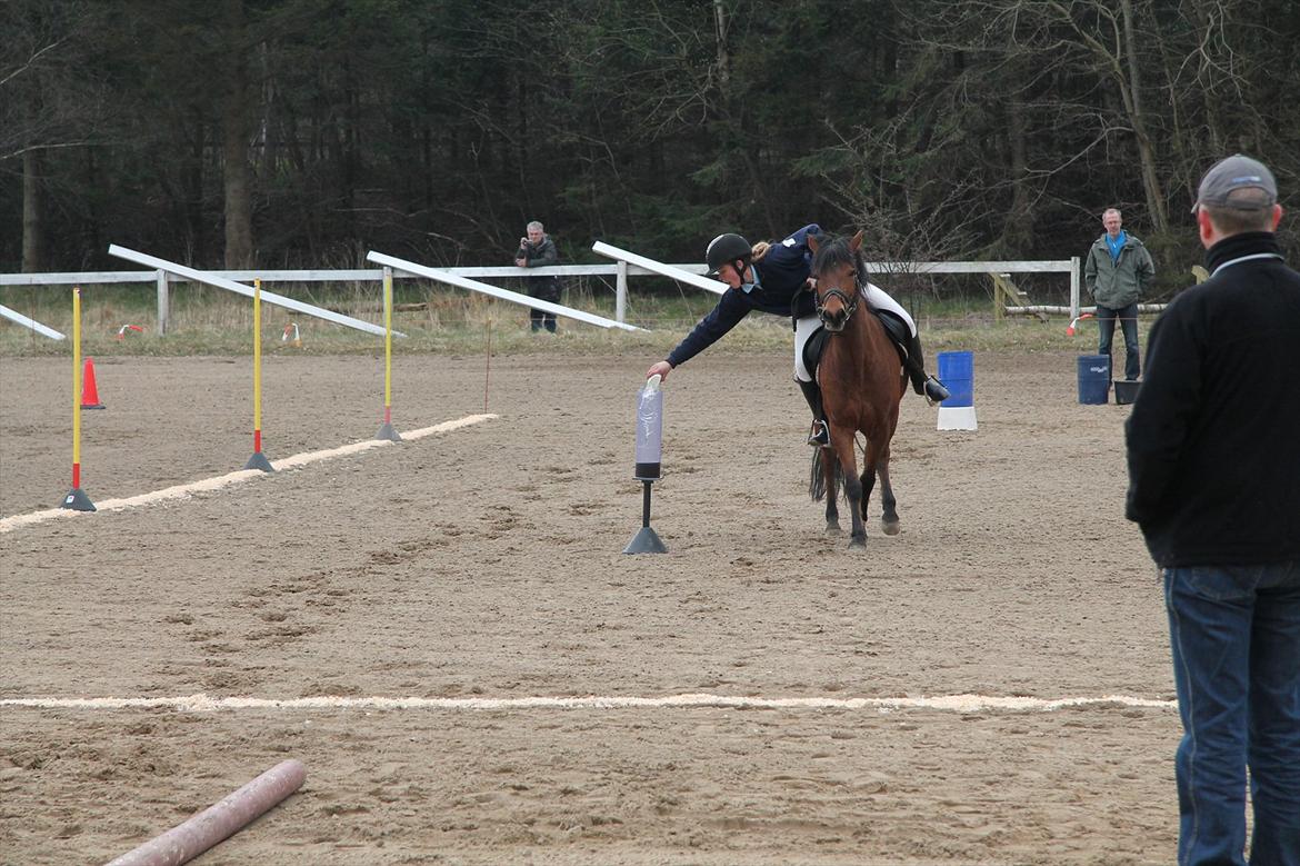 Distriktsmesterskaberne i Pony games afd. B 2012  - Vandstafet :-) 

Sofie og Ulka  billede 6