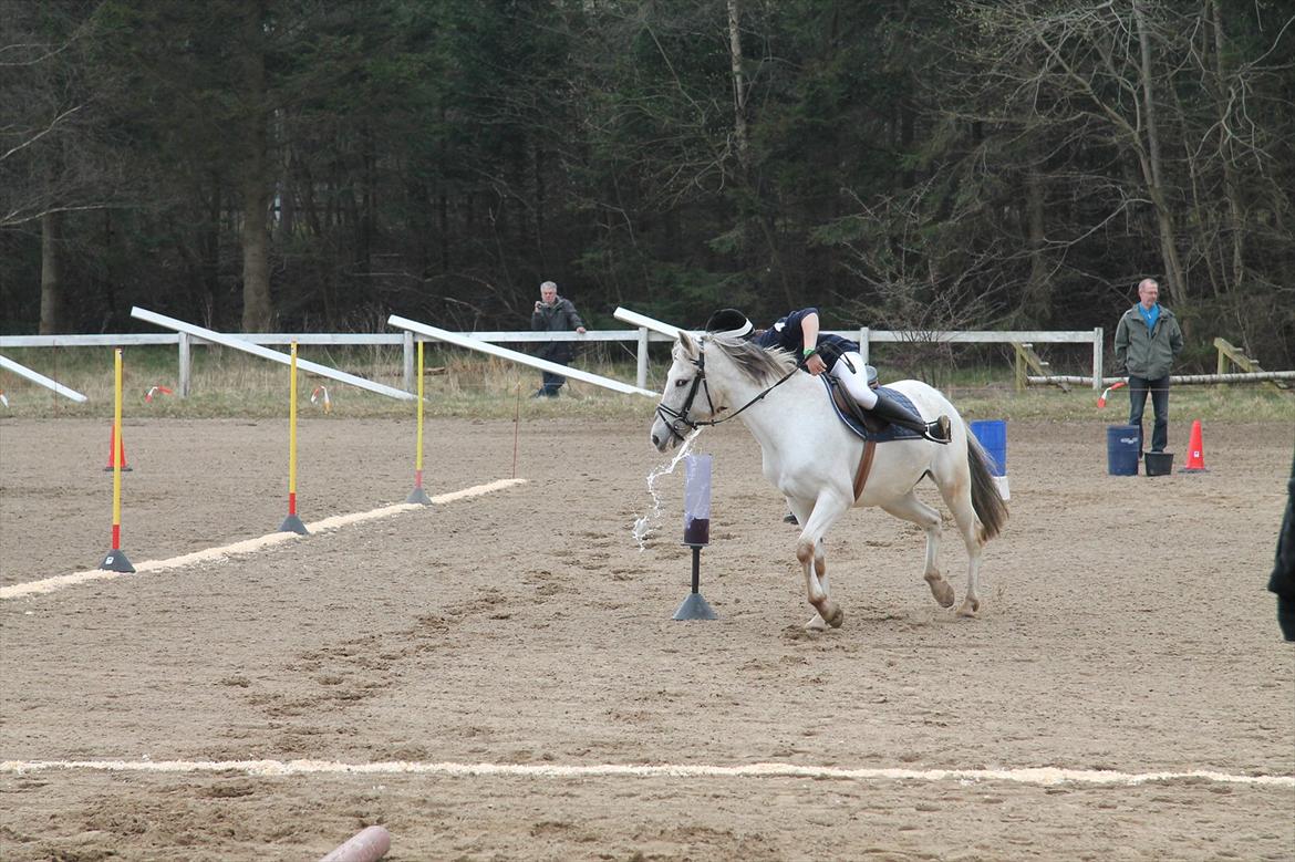 Distriktsmesterskaberne i Pony games afd. B 2012  - Vandstafet :-) Misty's stage side er vand lege og selvom jeg ikke hældte så meget vand i røret vandt vi alligevel! :-) 

Mig og Misty  billede 7