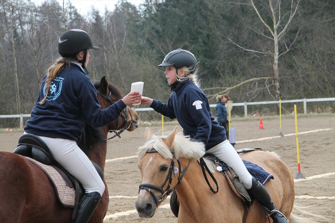 Distriktsmesterskaberne i Pony games afd. B 2012  - Aflevering af vandstafet's bærget :-) 

Sofie og Ulka, Laura og Scarlett billede 8