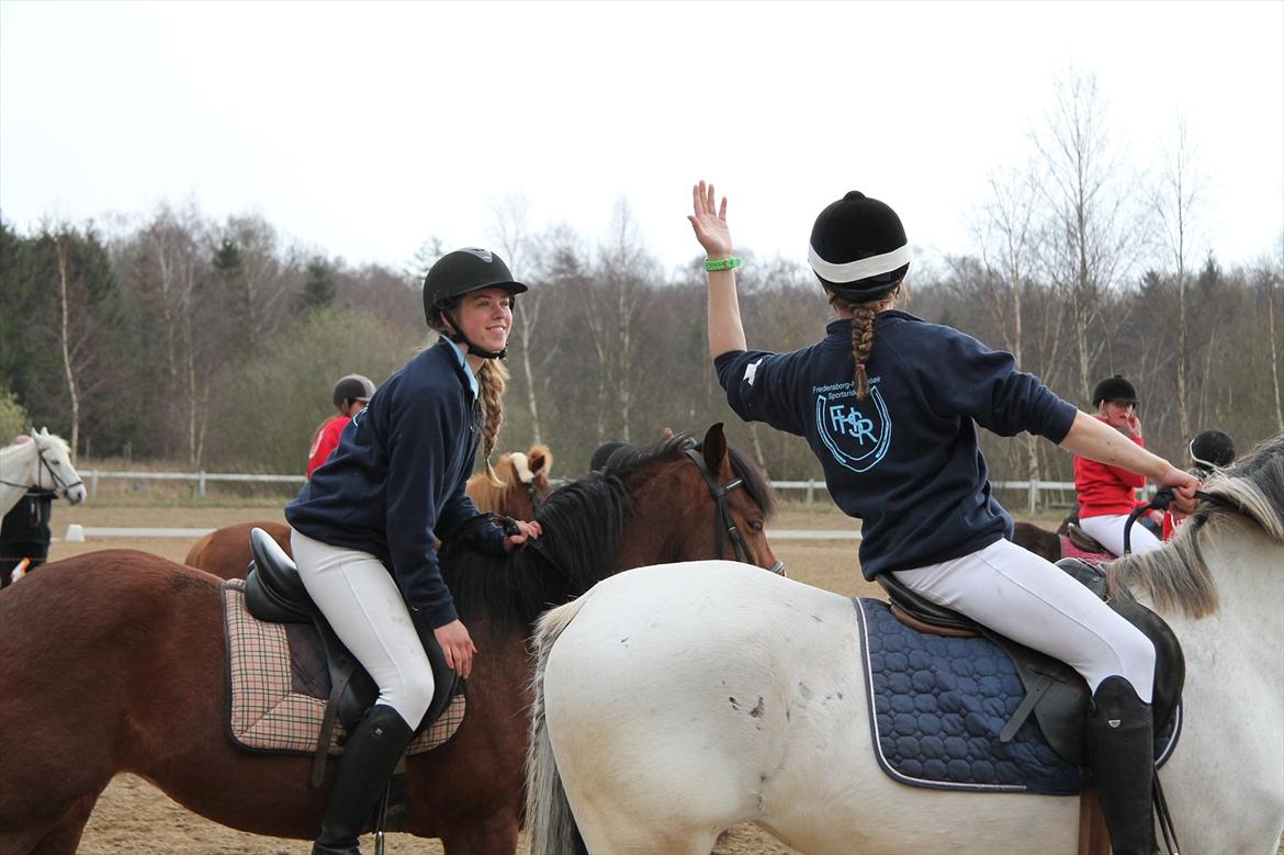 Distriktsmesterskaberne i Pony games afd. B 2012  - Der bliver snakket om placeringen og andet mens vi venter på næste leg :-) 

Sofie og Ulka, Misty og jeg :-)  billede 9