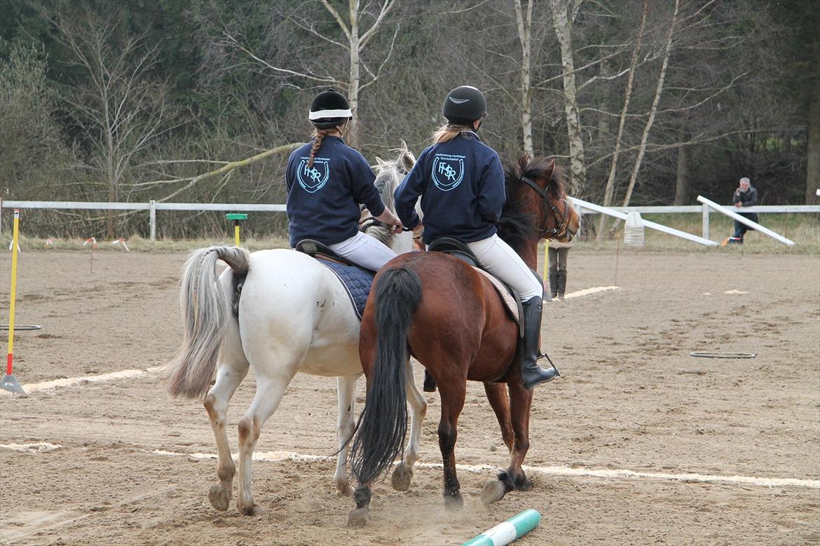 Distriktsmesterskaberne i Pony games afd. B 2012  - Hulahop 

Mig og Misty, Sofie og Ulka  billede 10