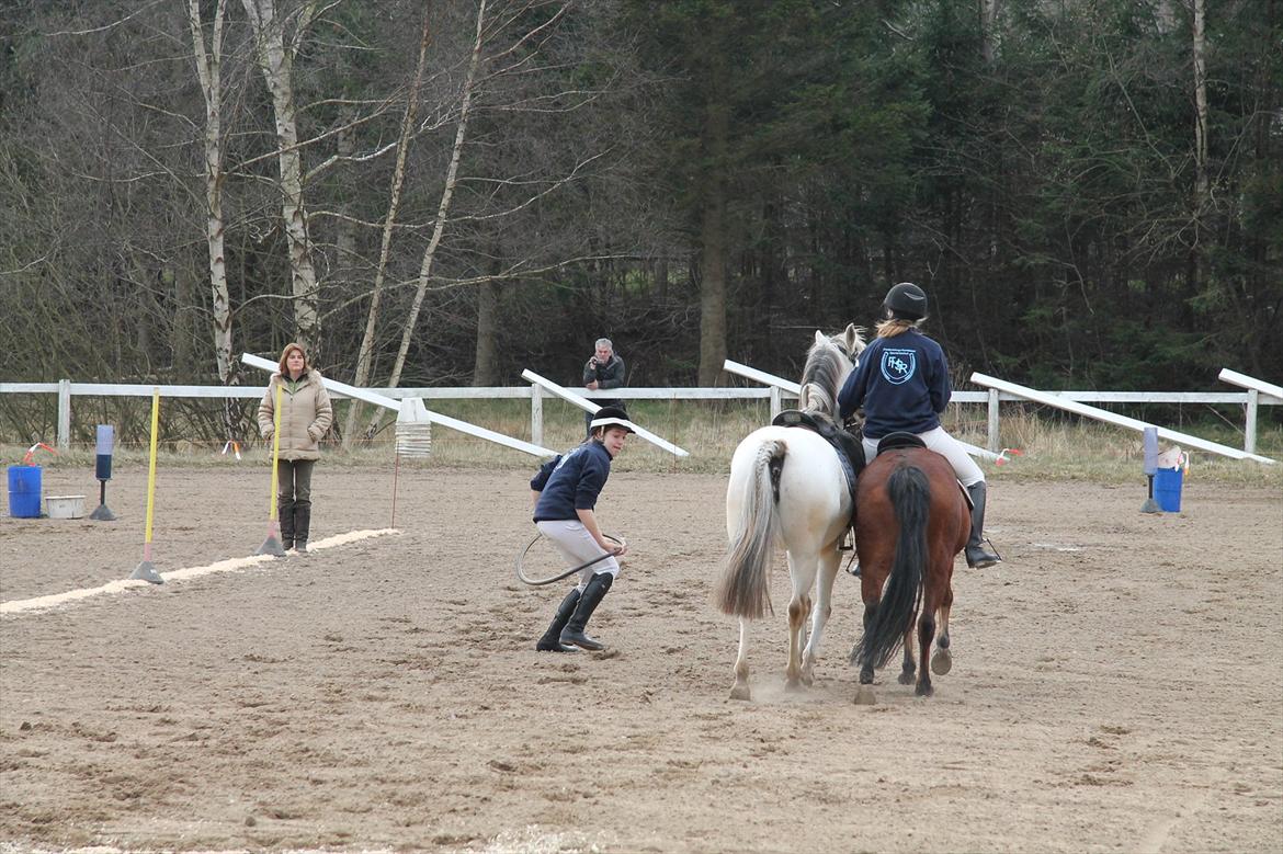 Distriktsmesterskaberne i Pony games afd. B 2012  - Hulahop :-) 

Mig og Misty, Sofie og Ulka  billede 11