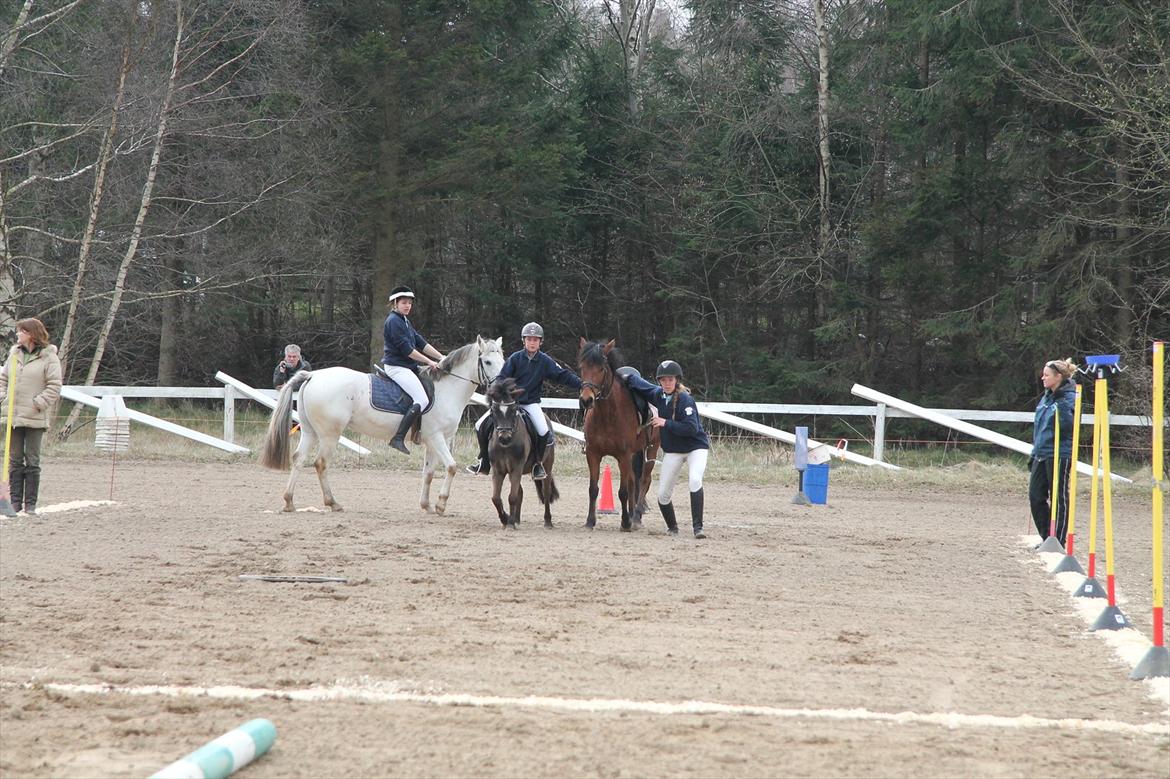 Distriktsmesterskaberne i Pony games afd. B 2012  - Hulahop

Mathilde og Zorro, Sofie og Ulka  billede 12