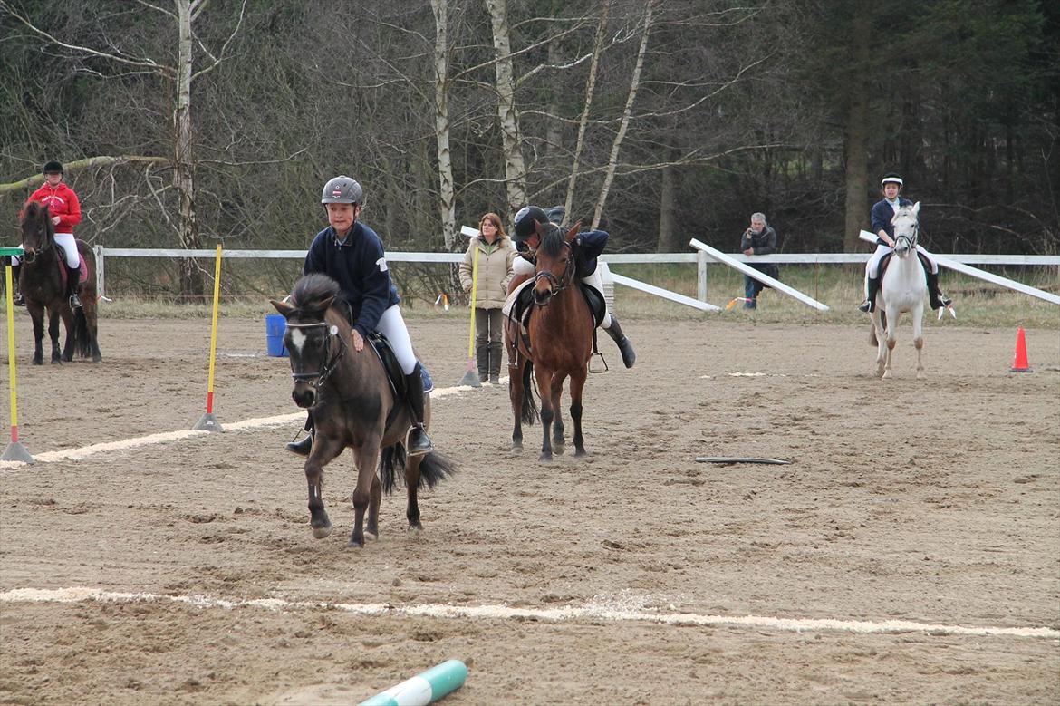Distriktsmesterskaberne i Pony games afd. B 2012  - Hulahop

Mathilde og Zorro, Sofie og Ulka billede 13