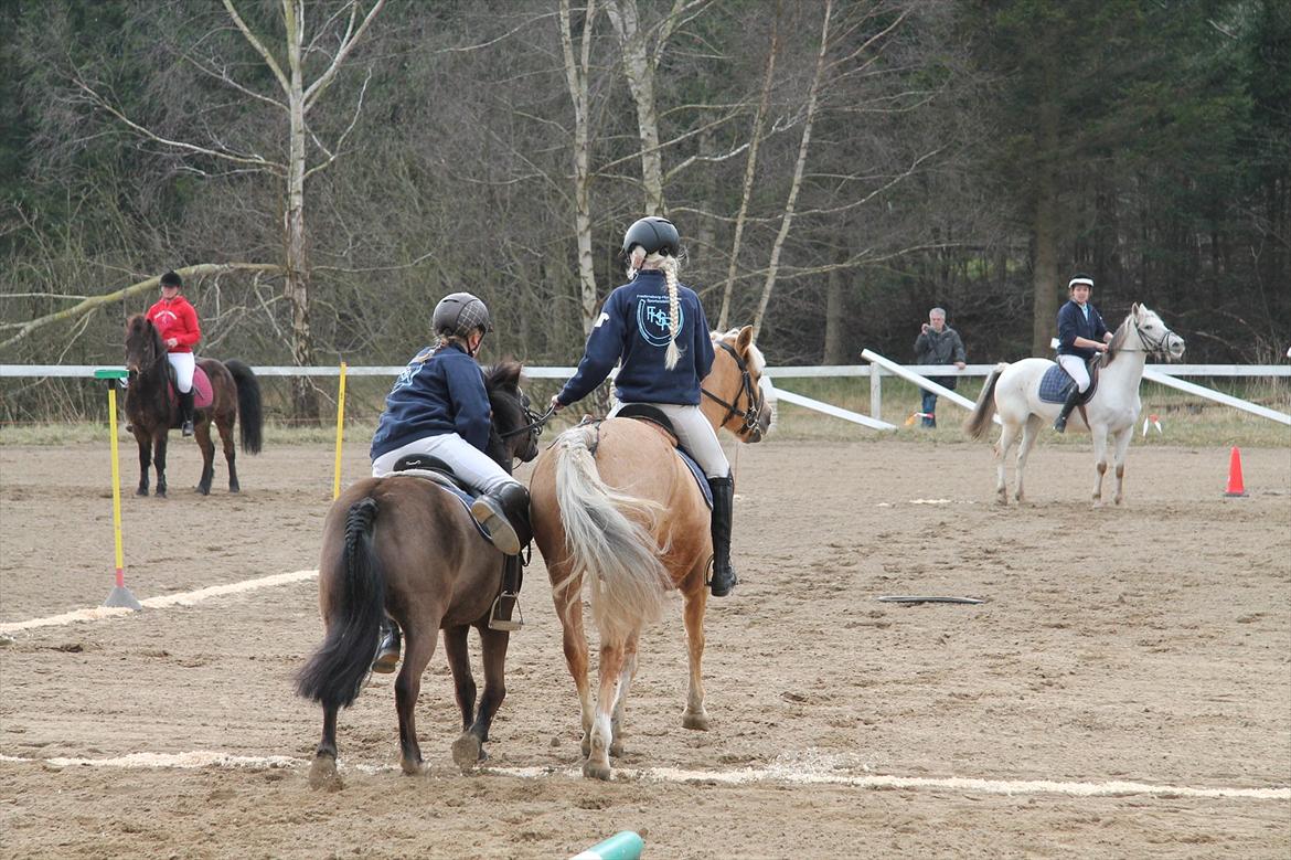 Distriktsmesterskaberne i Pony games afd. B 2012  - Hulahop 

Mathilde og Zorro, Laura og Scarlett  billede 14