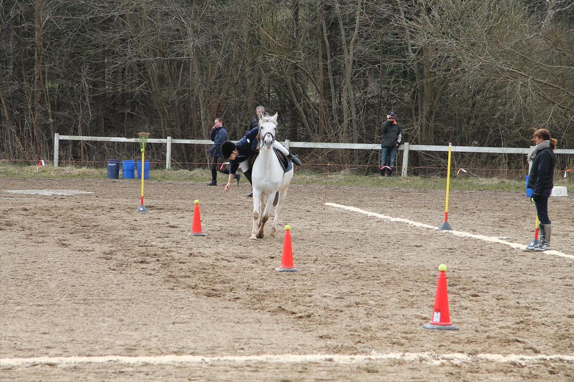 Distriktsmesterskaberne i Pony games afd. B 2012  - Basket :-) 
Jeg fik bolden! 

Misty og jeg  billede 15