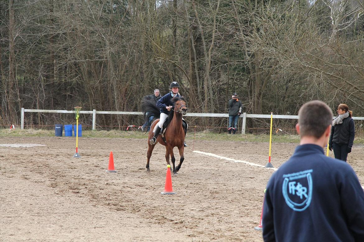 Distriktsmesterskaberne i Pony games afd. B 2012  - Basket :-) 

Sofie og Ulka  billede 16