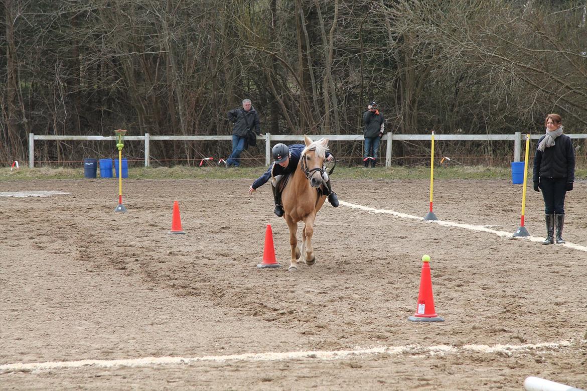 Distriktsmesterskaberne i Pony games afd. B 2012  - Basket :-) 

Laura og Scarlett  billede 17