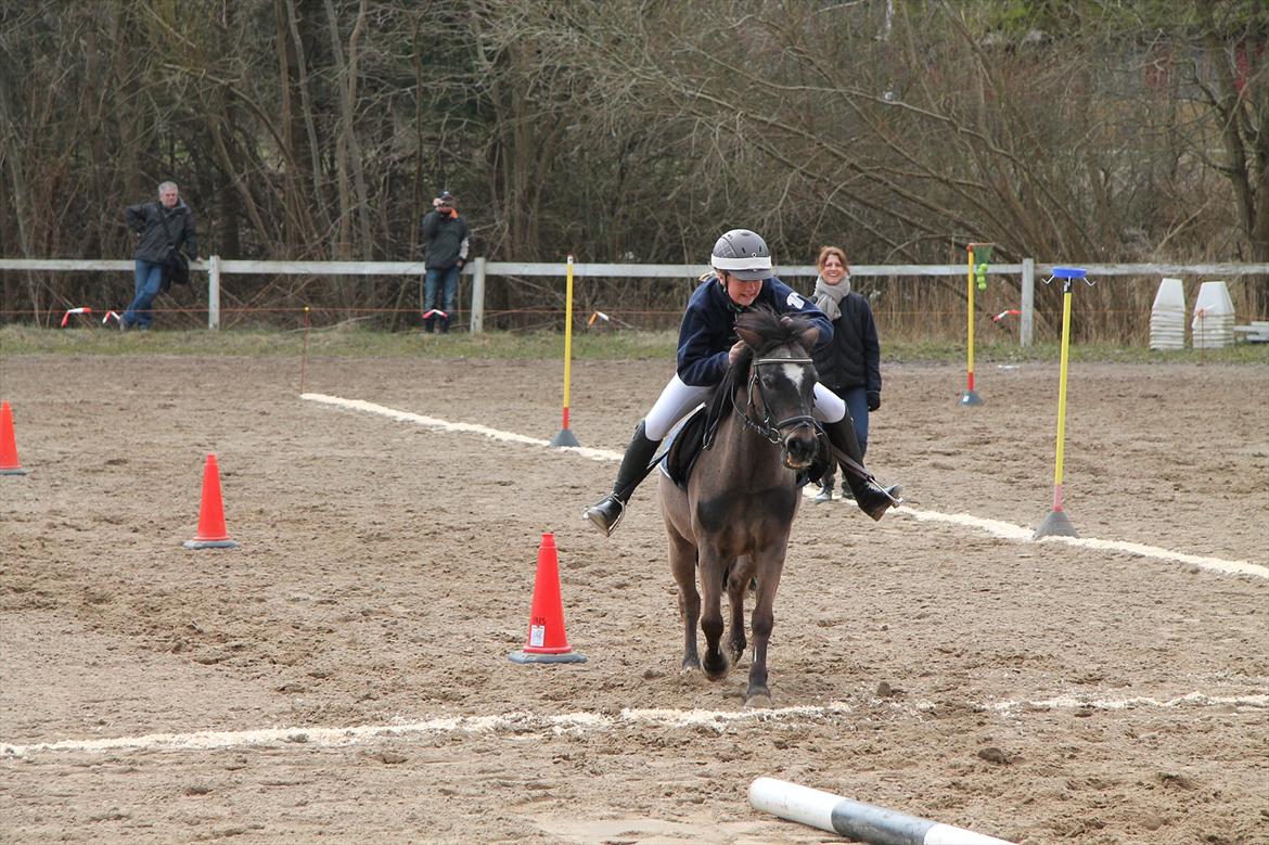 Distriktsmesterskaberne i Pony games afd. B 2012  - Basket :-) 

Mathilde og Zorro  billede 18