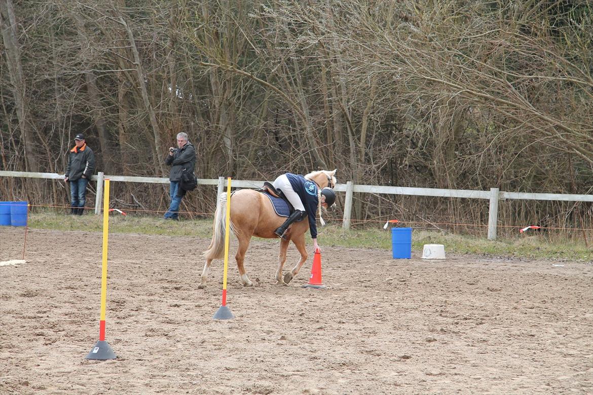 Distriktsmesterskaberne i Pony games afd. B 2012  - Kombi-leg (Slalom og ring på kegle) 

Laura og Scarlett  billede 19