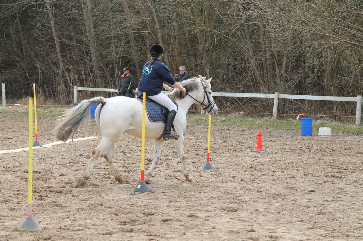 Distriktsmesterskaberne i Pony games afd. B 2012  - Kombi-leg (Slalom og ring på kegle) 

Misty og jeg :-)  billede 20