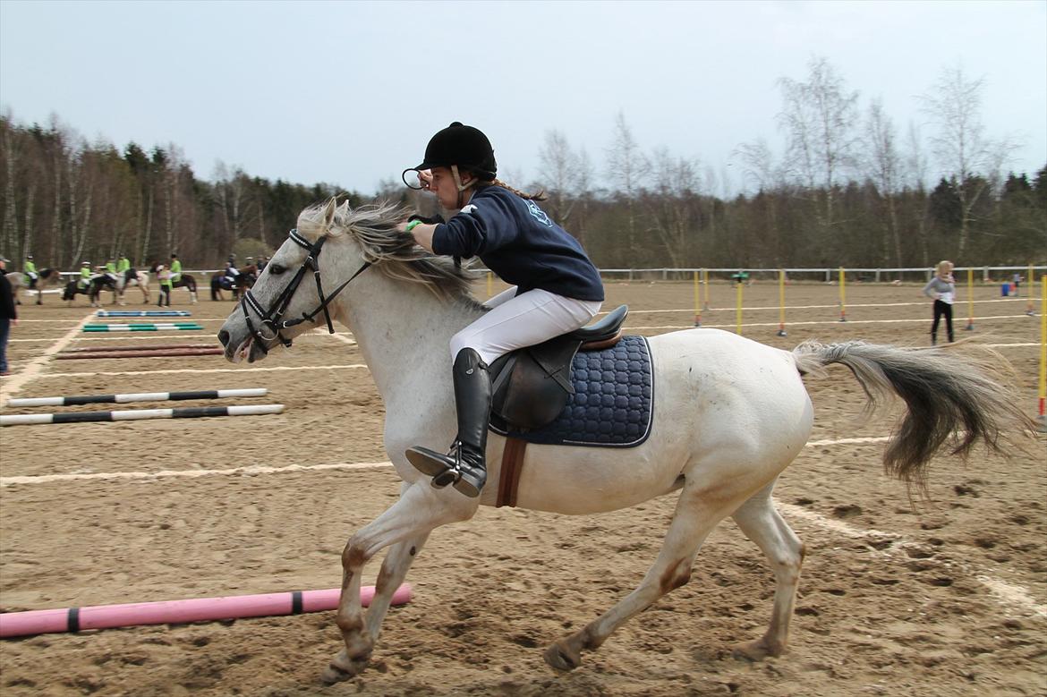Distriktsmesterskaberne i Pony games afd. B 2012  - Kombi-leg (Slalom og ring på kegle) 

Fuld fart over mål! :-)

Misty og jeg  billede 21