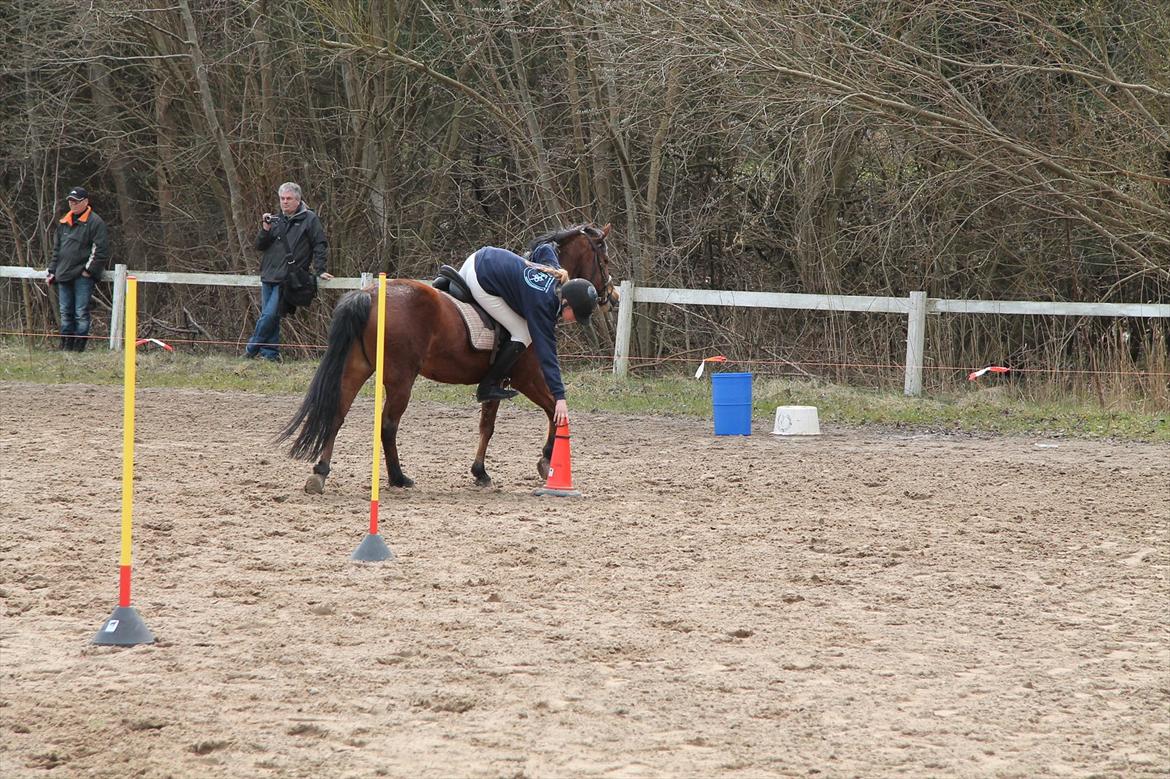 Distriktsmesterskaberne i Pony games afd. B 2012  - Kombi-leg (slalom og ring på kegle) 

Sofie og Ulka  billede 22