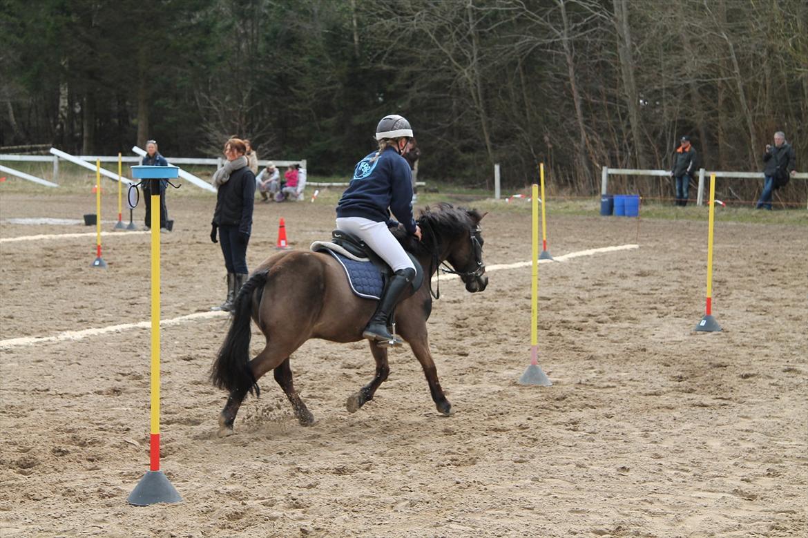Distriktsmesterskaberne i Pony games afd. B 2012  - Kombi-leg (slalom og ring på kegle)

Mathilde og Zorro  billede 23