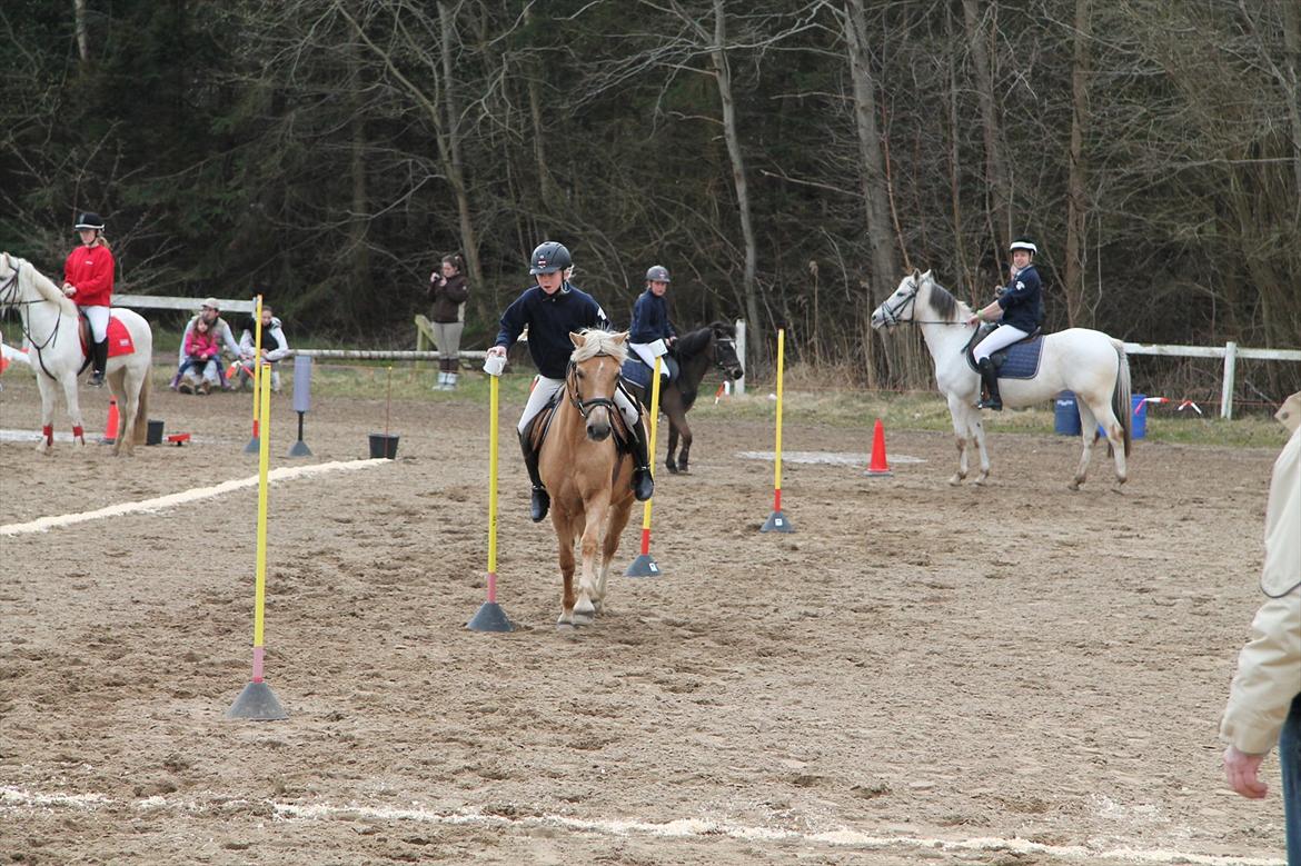 Distriktsmesterskaberne i Pony games afd. B 2012  - Flyt to krus 

Laura og Scarlett  billede 25