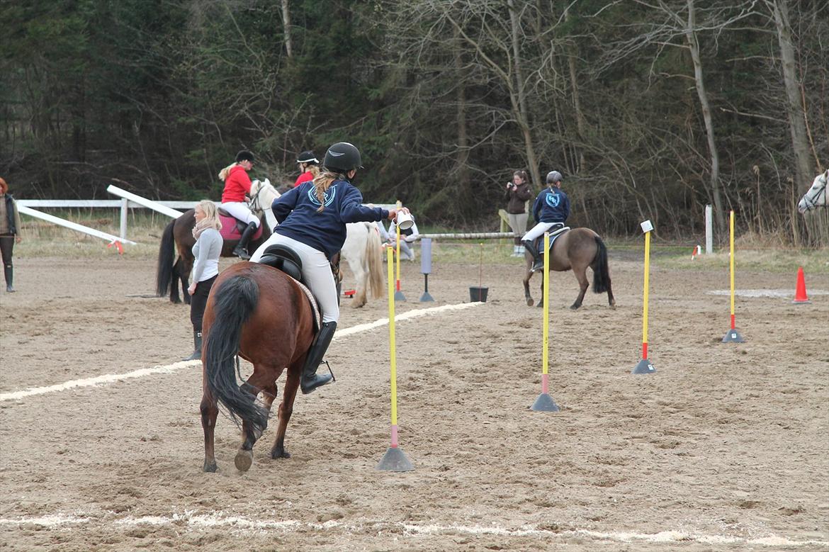 Distriktsmesterskaberne i Pony games afd. B 2012  - Flyt to krus 

Sofie og Ulka  billede 26