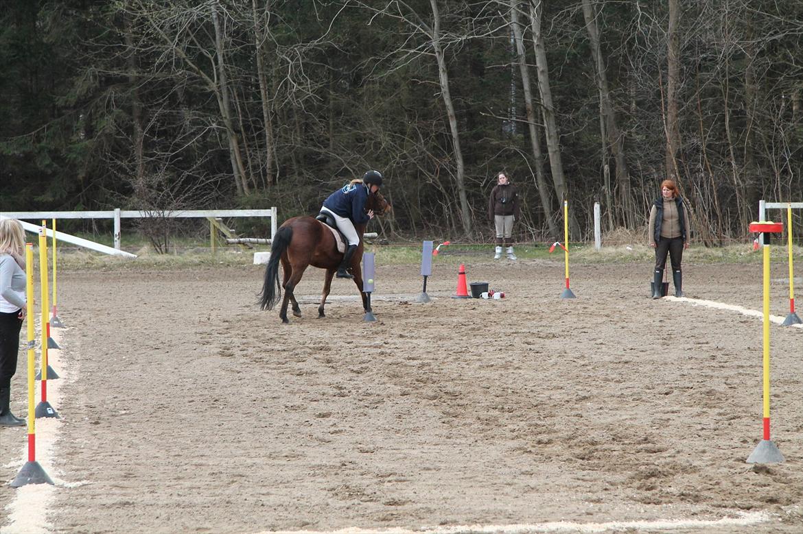 Distriktsmesterskaberne i Pony games afd. B 2012  - Bold stafet 

Sofie og Ulka  billede 27