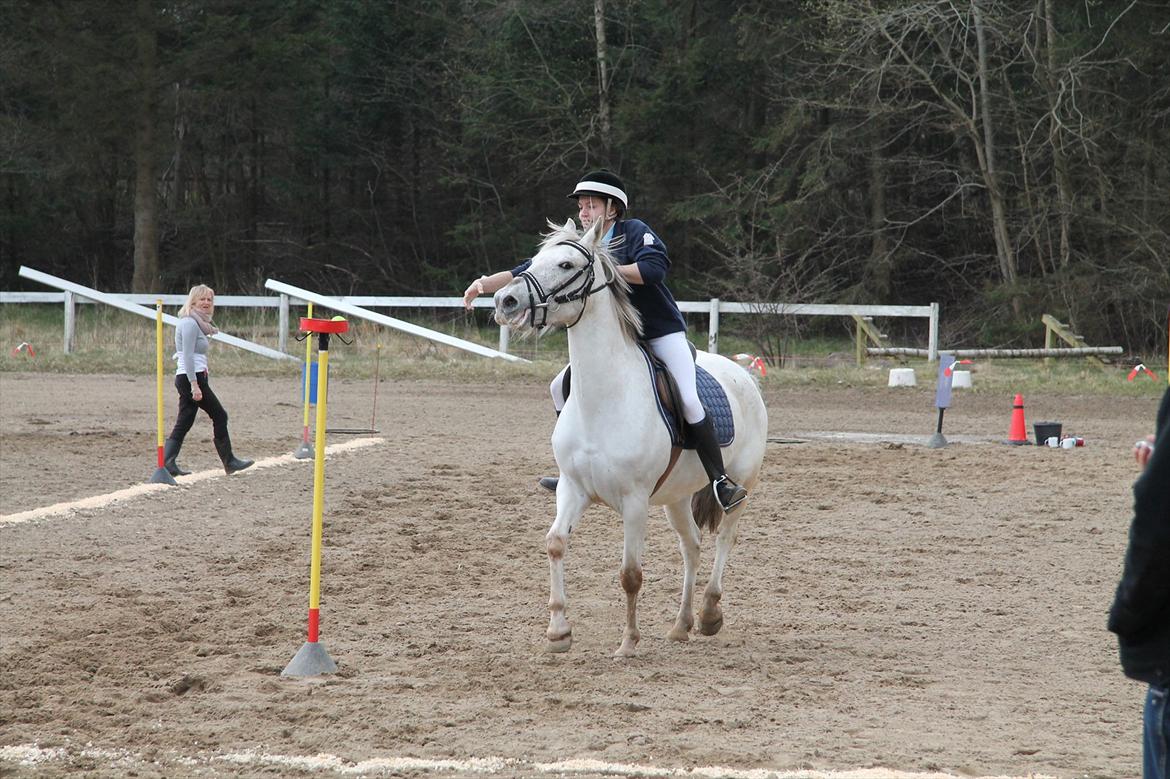 Distriktsmesterskaberne i Pony games afd. B 2012  - Bold stafet

Mig og Misty  billede 29