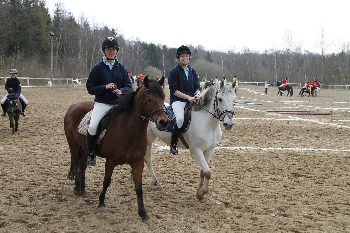 Distriktsmesterskaberne i Pony games afd. B 2012  - På vej ind til premie overrækkelse :-)  billede 30
