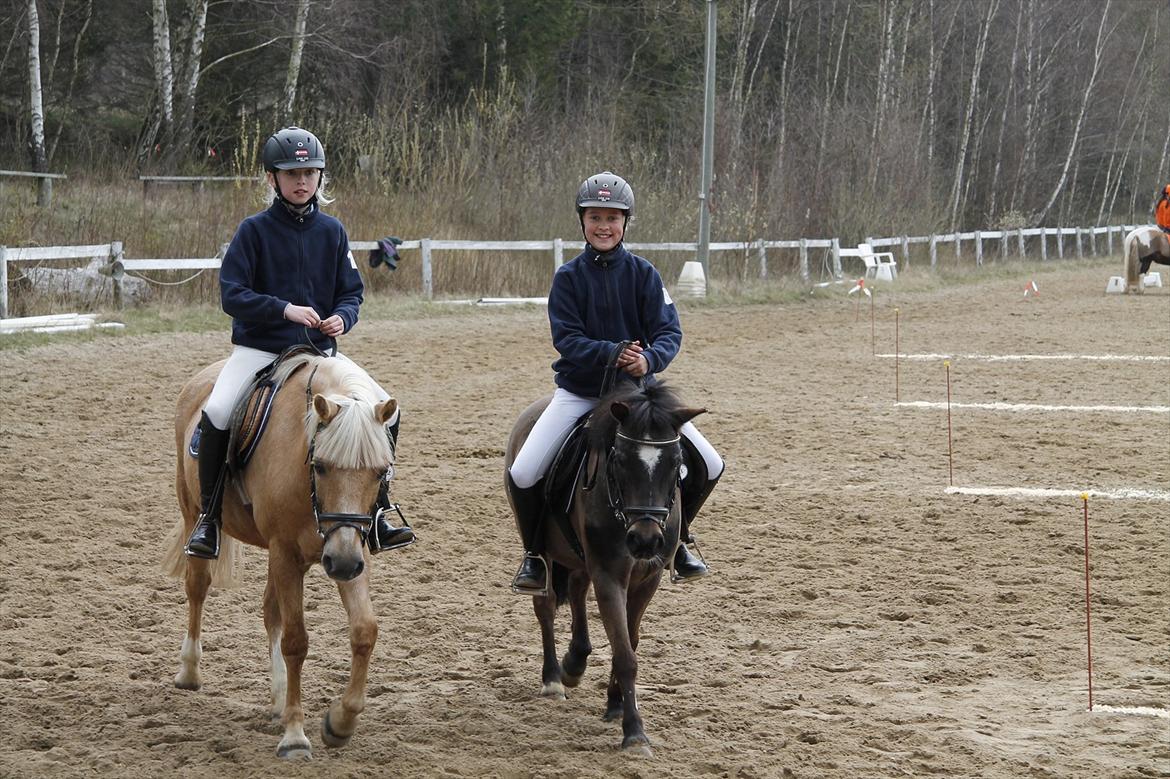 Distriktsmesterskaberne i Pony games afd. B 2012  - På vej ind til premie overrækkelse :-)  billede 31