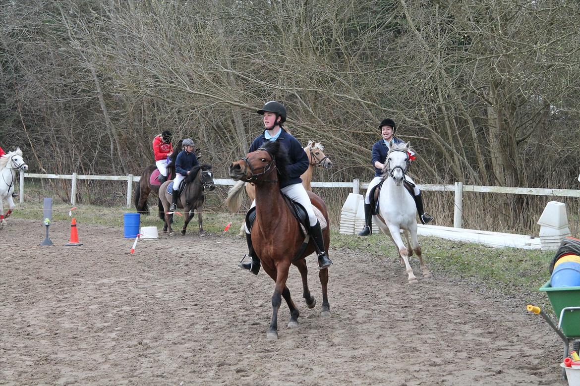 Distriktsmesterskaberne i Pony games afd. B 2012  - Æres runde :-)  billede 37