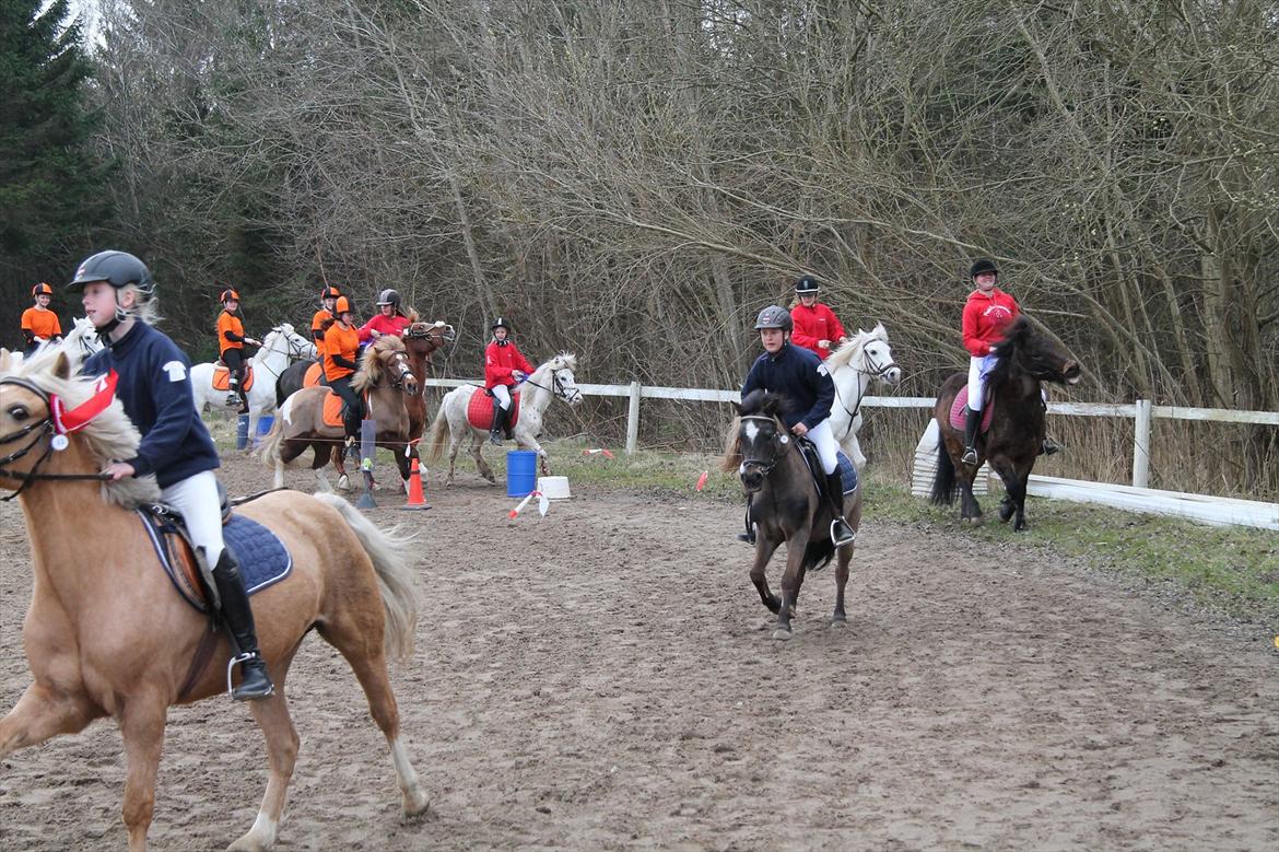 Distriktsmesterskaberne i Pony games afd. B 2012  - Æres runde :-)  billede 38