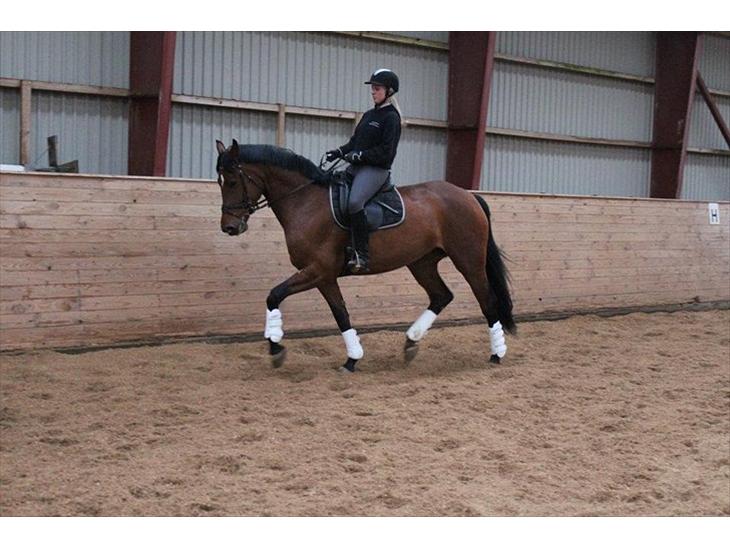 {{currentPhoto.altText}} billede {{currentPhoto.number}}