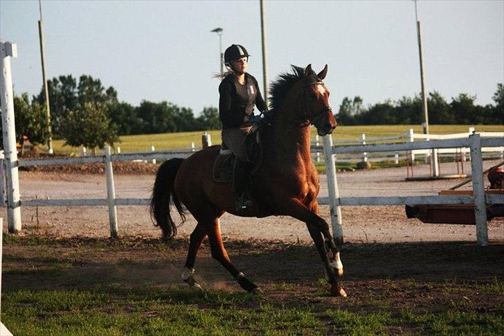 Nyeste billeder Gurkemeje (: billede 1