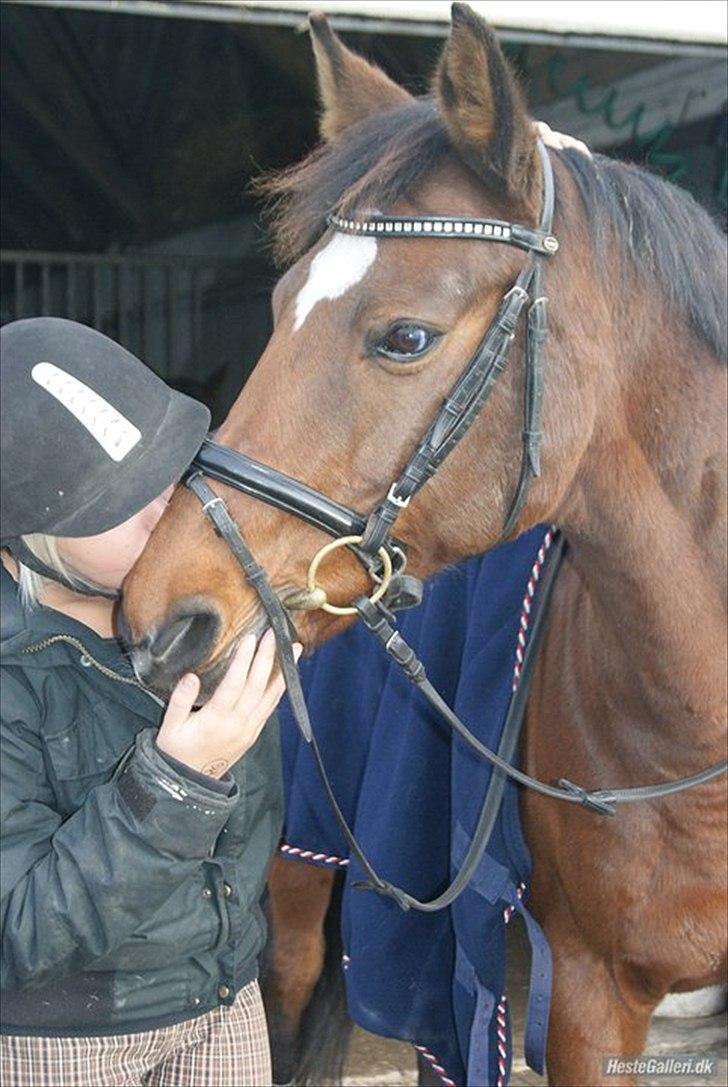 Nyeste billeder Gurkemeje (: billede 8