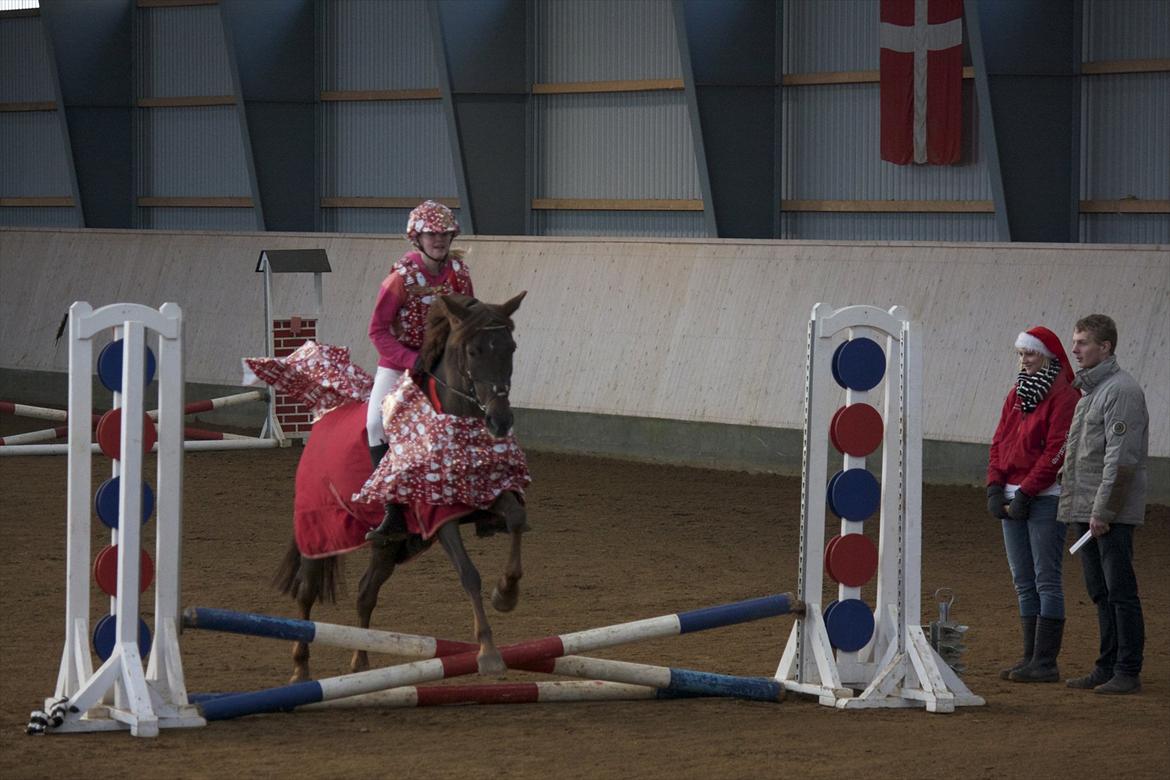 Julestævne på Herning rideskole billede 8