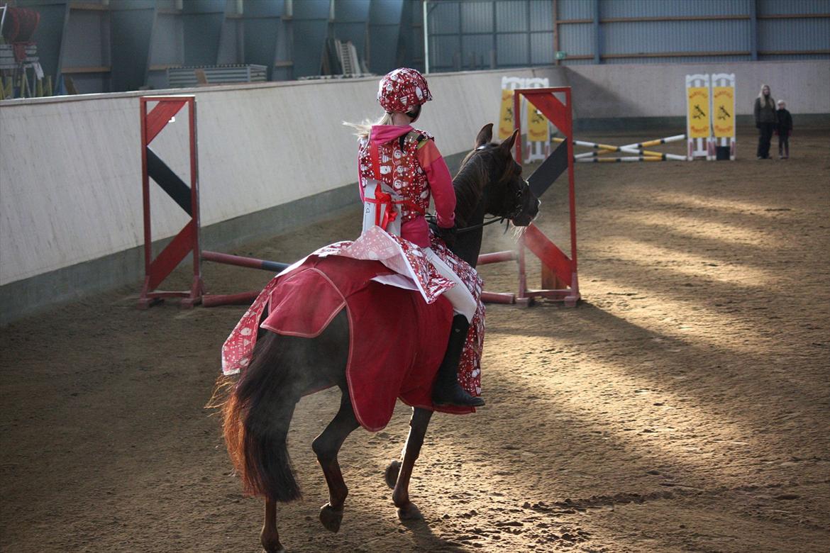 Julestævne på Herning rideskole billede 11